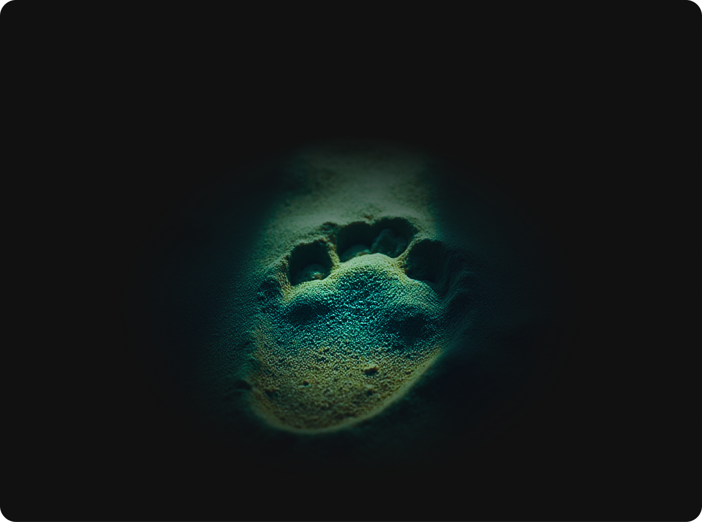 Footprint